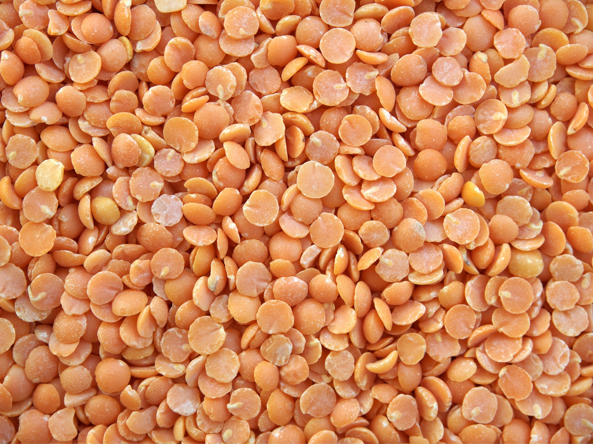 lentils ge8c0d2947 1920