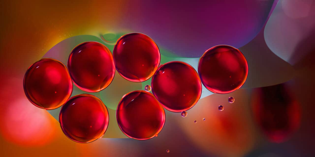 ArmoLIPID PLUS: Má opravdu vliv na hodnoty cholesterolu? (recenze) 1 armolipid plus recenze